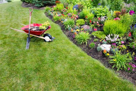 gardening services with wheelbarrow on grass